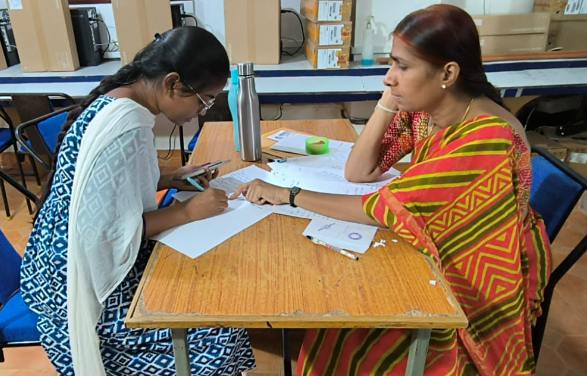 Mentor mentee system