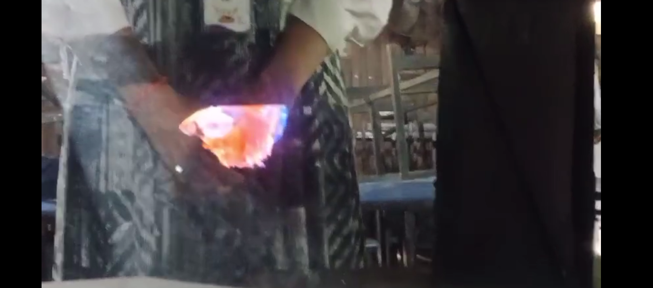 Hologram experiment by B.Sc student