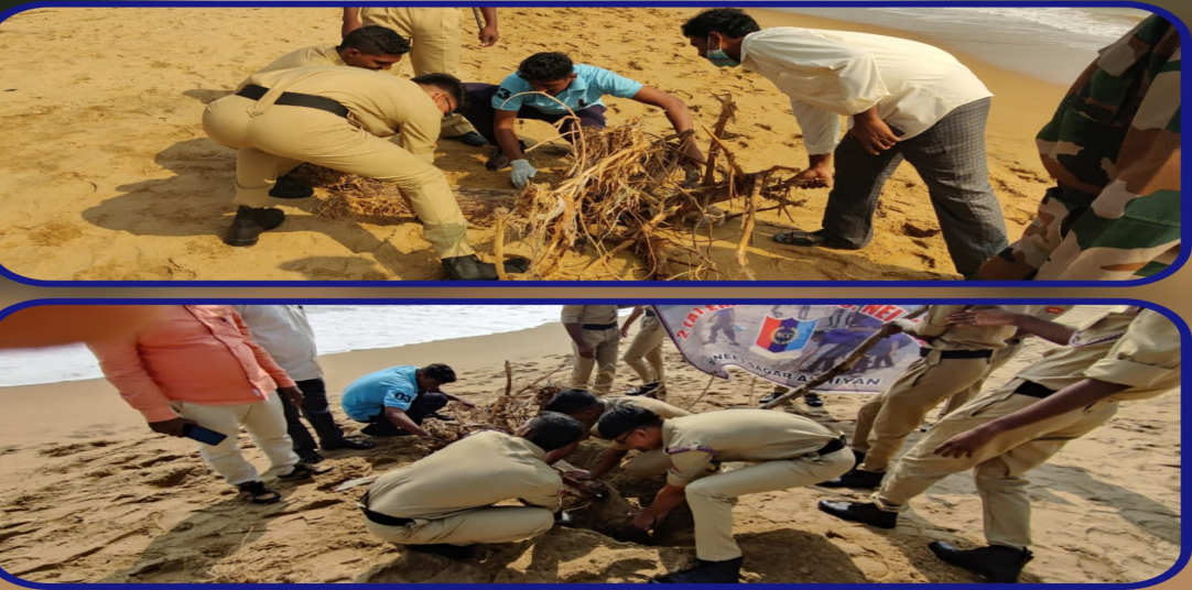 Extension and outreach activities